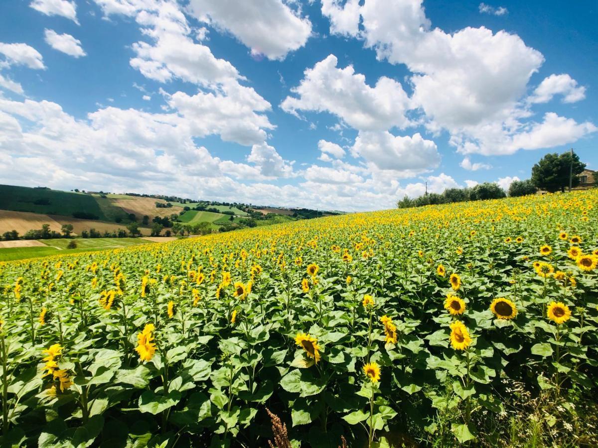 Ritorno alla Natura Villa Recanati Esterno foto