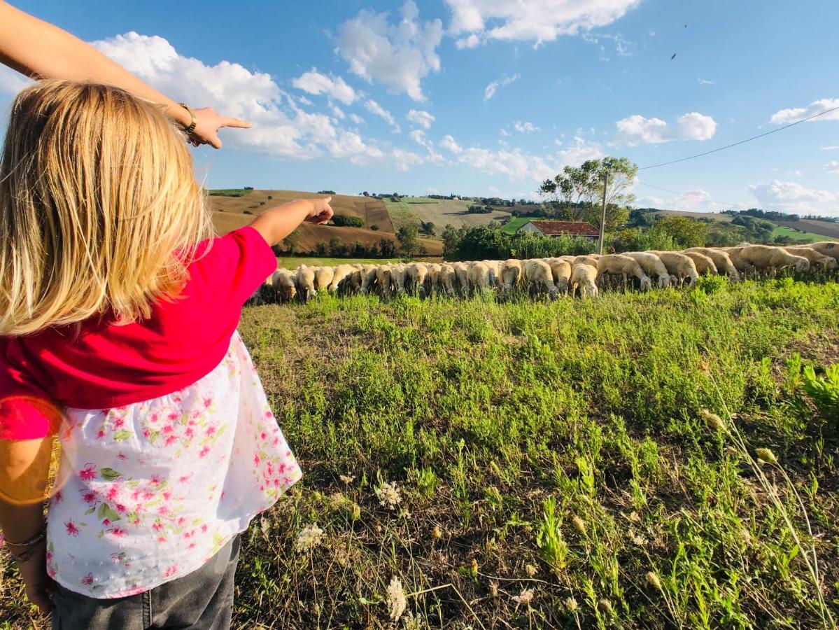 Ritorno alla Natura Villa Recanati Esterno foto