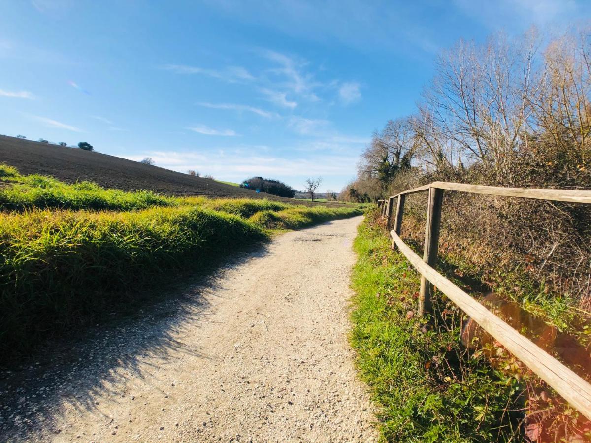 Ritorno alla Natura Villa Recanati Esterno foto